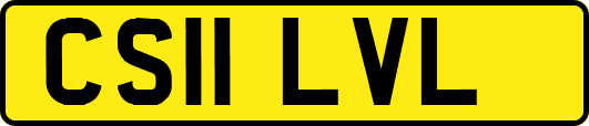 CS11LVL