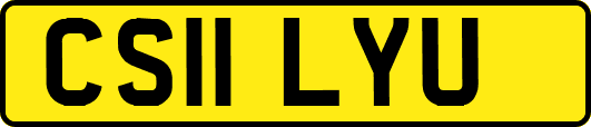 CS11LYU
