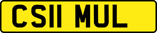 CS11MUL