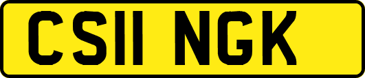 CS11NGK