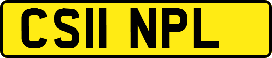 CS11NPL