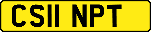 CS11NPT