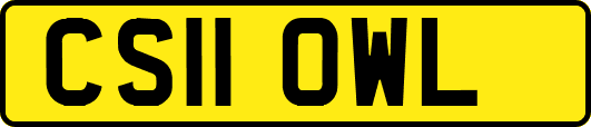 CS11OWL