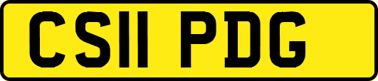 CS11PDG