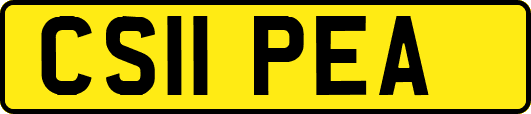 CS11PEA