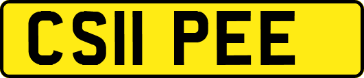 CS11PEE