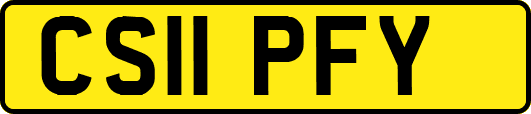 CS11PFY