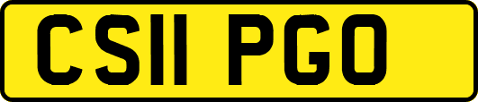 CS11PGO