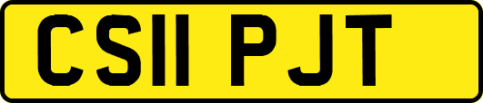 CS11PJT