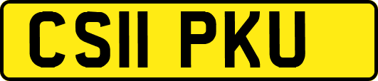 CS11PKU