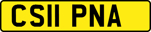 CS11PNA