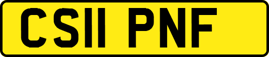 CS11PNF