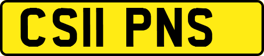 CS11PNS
