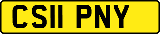 CS11PNY