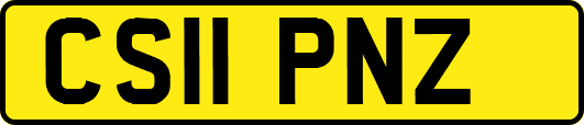 CS11PNZ