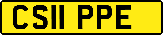 CS11PPE