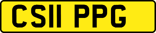 CS11PPG