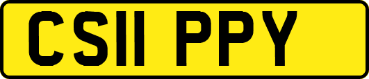 CS11PPY