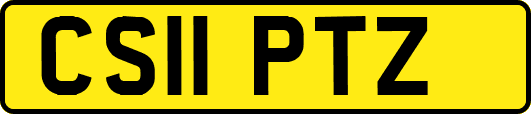CS11PTZ