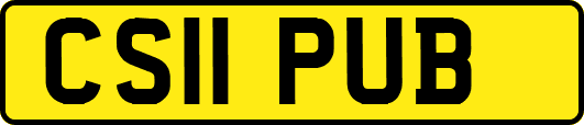 CS11PUB
