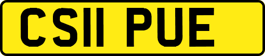 CS11PUE