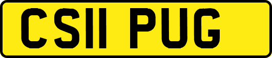CS11PUG