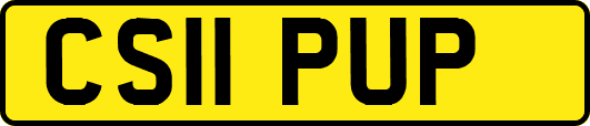 CS11PUP
