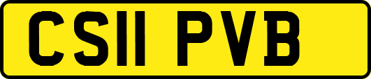 CS11PVB