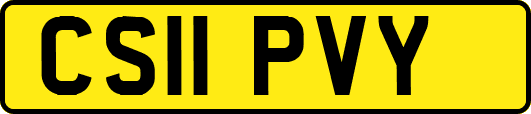 CS11PVY
