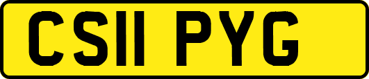 CS11PYG