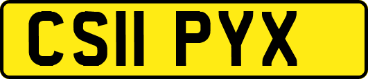 CS11PYX