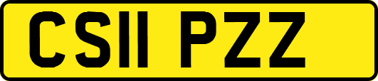 CS11PZZ