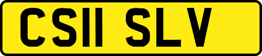 CS11SLV