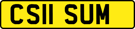 CS11SUM