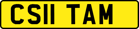 CS11TAM