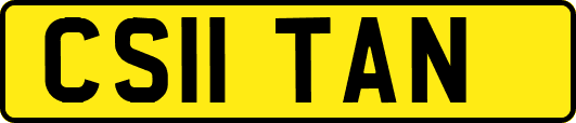 CS11TAN