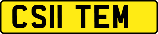 CS11TEM