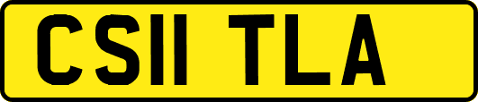 CS11TLA