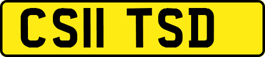 CS11TSD