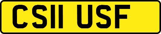CS11USF