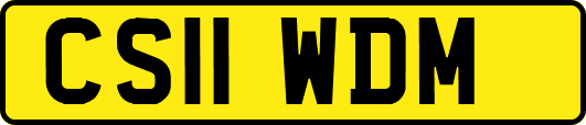 CS11WDM