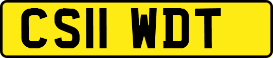 CS11WDT