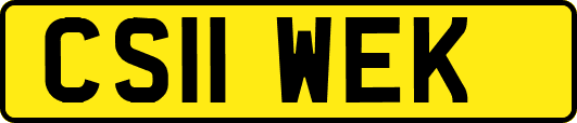 CS11WEK