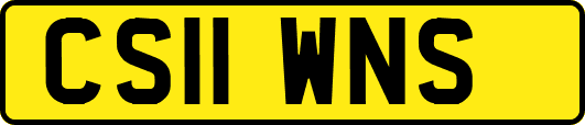 CS11WNS