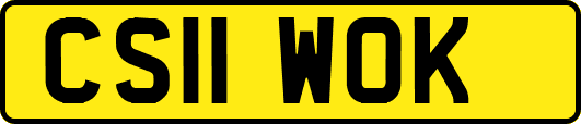 CS11WOK