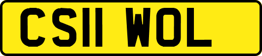 CS11WOL