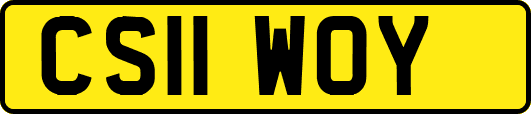 CS11WOY