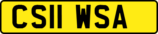 CS11WSA