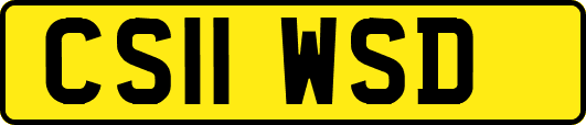 CS11WSD