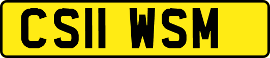 CS11WSM